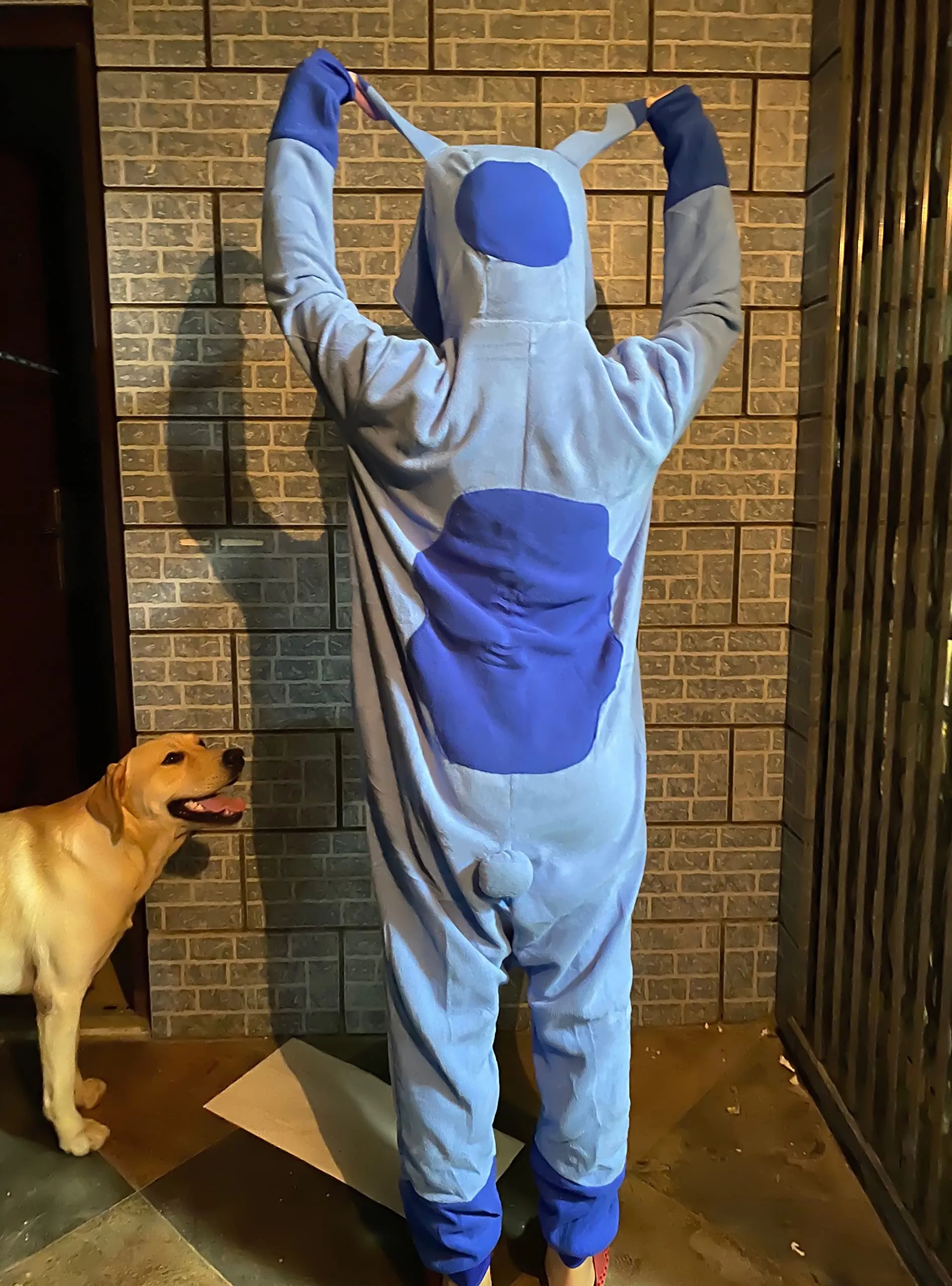 BGOKTA Halloween Animal Onesie Pajamas for Adults Costume Cosplay Homewear One Piece